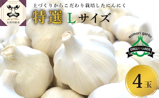 【8月上旬より順次発送】青森県産 にんにく (特選)Lサイズ4玉 ガーリック ニンニク お試し