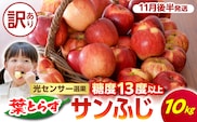 【2026年11月後半発送】【訳あり】 葉とらずりんごサンふじ 10kg 程度 青森 五所川原