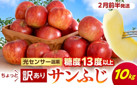 【2027年2月前半発送】 【ちょっと訳あり】 りんご 約10kg サンふじ 青森産