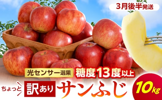 【2027年3月後半発送】 【ちょっと訳あり】 りんご 約10kg サンふじ 青森産