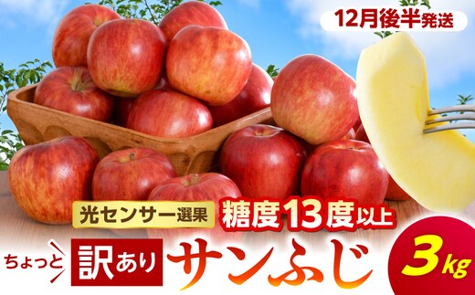 【先行受付】【2026年12月後半発送】 【訳あり】 りんご 約3kg サンふじ 青森産
