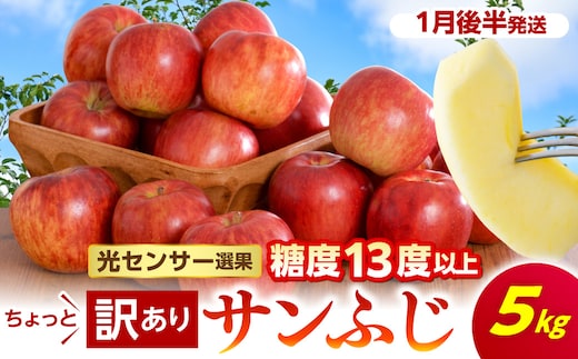 【先行受付】【2027年1月後半発送】 【訳あり】 りんご 約5kg サンふじ 青森産