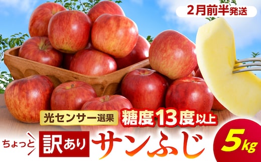 【先行受付】【2027年2月前半発送】【訳あり】 りんご 約5kg サンふじ 青森産