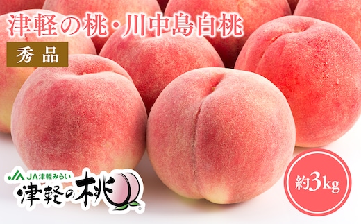 【8月下旬～９月中旬発送予定】津軽の桃 川中島白桃約3kg