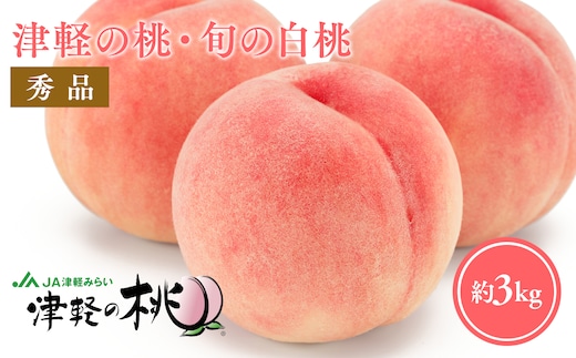 【8月中旬～8月下旬発送予定】津軽の桃 旬の白桃約3kg
