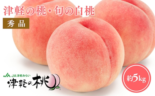 【8月中旬～8月下旬発送予定】津軽の桃 旬の白桃約5kg