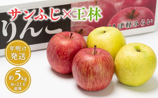 年明け サンふじ×王林約5kg 【JA津軽みらい・平川市産・青森りんご・1月・2月】