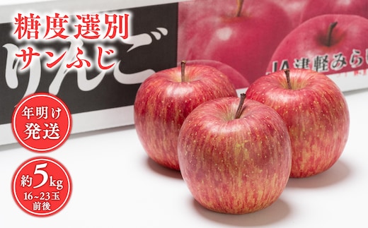 年明け 糖度選別サンふじ約5kg 【JA津軽みらい・平川市産・青森りんご・1月・2月】