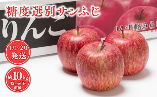 年明け 糖度選別サンふじ約10kg 【JA津軽みらい・平川市産・青森りんご・1月・2月】
