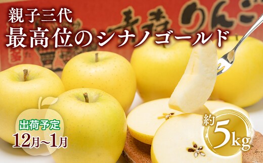 【12月・1月発送】 親子三代最高位のシナノゴールド約5kg【全国ふじコンテスト最高賞受賞農園・平川市広船産りんご】