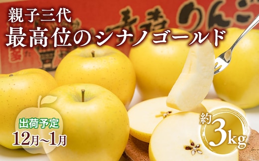 【12月・1月発送】家庭用 親子三代最高位のシナノゴールド 約3kg【全国ふじコンテスト最高賞受賞農園・平川市広船産りんご】