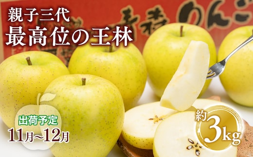 【11月・12月発送】 親子三代最高位の王林 約3kg【全国ふじコンテスト最高賞受賞農園・平川市広船産りんご】