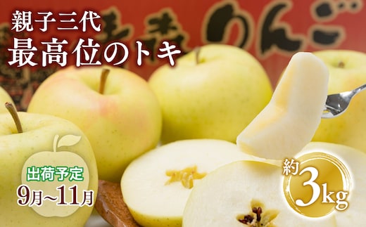 【10月発送】 親子三代最高位のトキ 約3kg