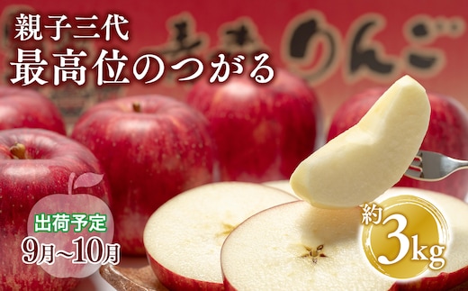 【9月発送】 親子三代最高位のつがる 約3kg