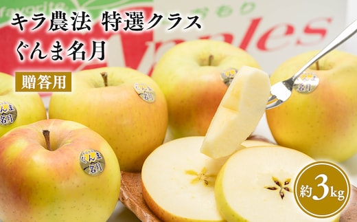 11～12月 贈答用 キラ農法 特選クラス 完熟りんご ぐんま名月約3kg 【青森りんご・平川市広船産・11月・12月】