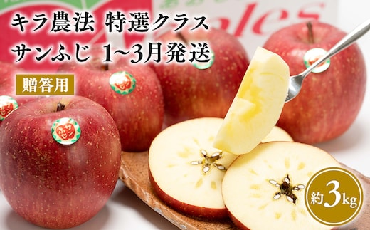 1～3月 贈答用 キラ農法 特選クラス 完熟りんご サンふじ約3kg 【青森りんご・平川市広船産・1月・2月・3月】