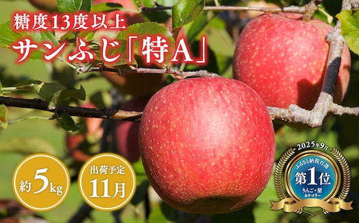 11月 サンふじりんご「特A」約5kg 糖度13度以上(14～20玉程度）【森山商店・平川市】