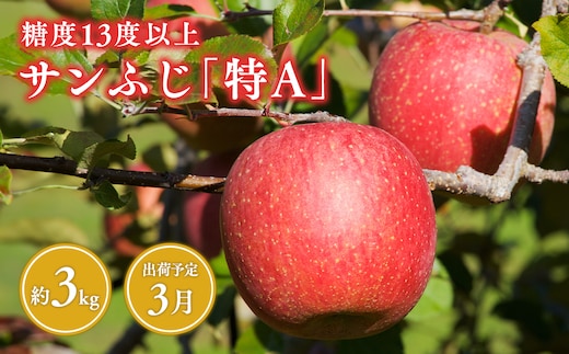 3月 サンふじりんご「特A」約3kg 糖度13度以上 【森山商店・平川市・青森りんご・3月】