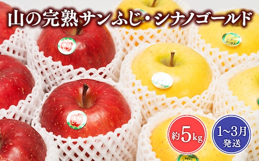 年明け 吹田りんご園 山の完熟サンふじ・シナノゴールド約5kg【吹田りんご園・青森りんご・平川市広船産・1月・2月】