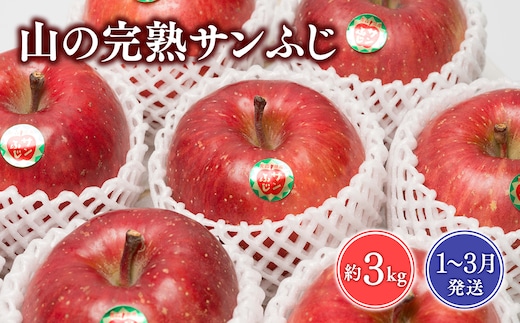 年明け 吹田りんご園 山の完熟サンふじ約3kg 【吹田りんご園・青森りんご・平川市広船産】