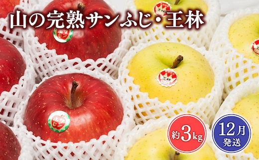 2026年12月 吹田りんご園 山の完熟サンふじ・王林合計約3kg【吹田りんご園・青森りんご・平川市広船産・12月】