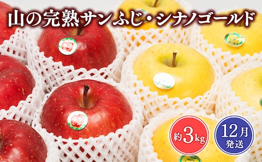 2026年12月 吹田りんご園 山の完熟サンふじ・シナノゴールド約3kg 【吹田りんご園・青森りんご・平川市広船産・12月】