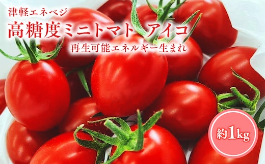 7月以降順次発送 「高糖度ミニトマト（アイコ）」約1kg 再生可能エネルギー生まれ