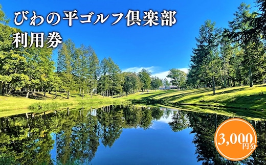 びわの平ゴルフ倶楽部利用券3，000円