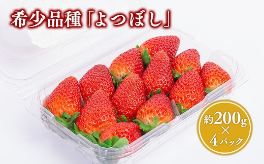 【2~4月発送】いちご よつぼし 約200ｇ×4パック