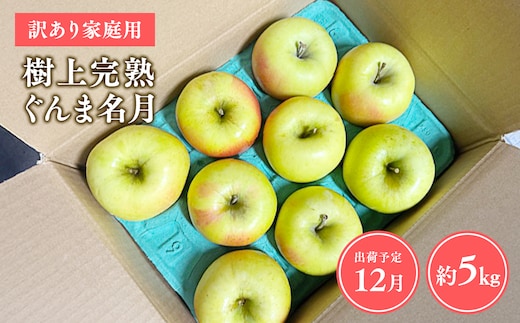 【令和7年産受付】家庭用 樹上完熟ぐんま名月約5㎏【青森県平川市産・青森りんご】