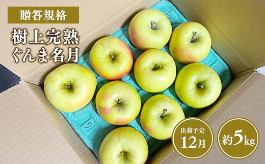 【令和7年産受付】贈答用 樹上完熟ぐんま名月約5㎏【青森県平川市産・青森りんご】