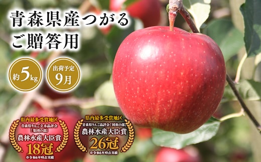 9月発送 贈答用つがる5ｋｇ 【そと川りんご園・9月・青森県産・平川市・りんご・つがる・5ｋｇ・贈答用】