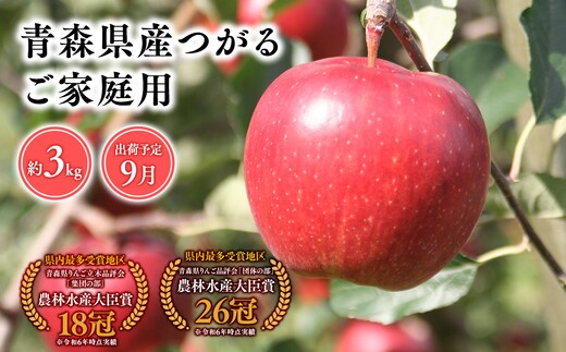 9月発送 【訳あり】家庭用つがる3ｋｇ 【そと川りんご園・9月・青森県産・平川市・りんご・つがる・3ｋｇ・訳あり・家庭用】