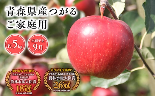 9月発送 【訳あり】家庭用つがる5ｋｇ 【そと川りんご園・9月・青森県産・平川市・りんご・つがる・5ｋｇ・訳あり・家庭用】