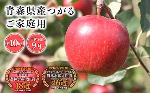 9月発送 【訳あり】家庭用つがる10ｋｇ 【そと川りんご園・9月・青森県産・平川市・りんご・つがる・10ｋｇ・訳あり・家庭用】