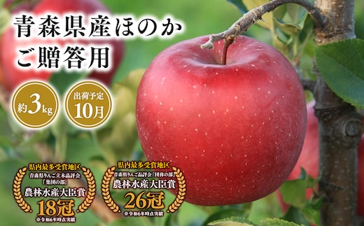 １０月発送 贈答用ほのか3ｋｇ 【そと川りんご園・9月・青森県産・平川市・りんご・ほのか・3ｋｇ・贈答用】