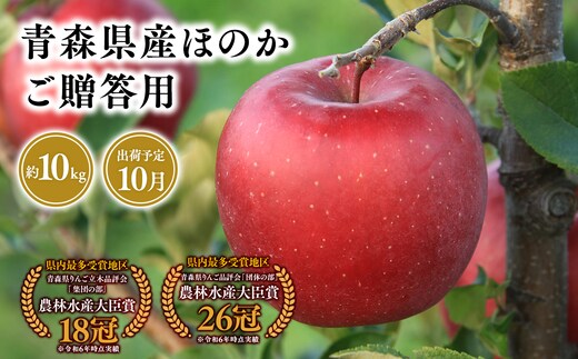 １０月発送 贈答用ほのか10ｋｇ 【そと川りんご園・１０月・青森県産・平川市・りんご・ほのか・10ｋｇ・贈答用】