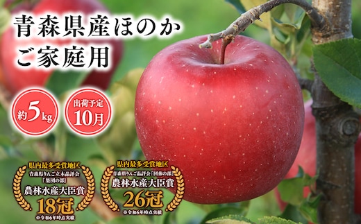１０月発送 【訳あり】家庭用ほのか5ｋｇ 【そと川りんご園・１０月・青森県産・平川市・りんご・ほのか・5ｋｇ・訳あり・家庭用】
