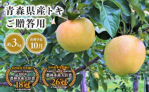 １０月発送 贈答用トキ3ｋｇ 【そと川りんご園・１０月・青森県産・平川市・りんご・トキ・3ｋｇ・贈答用】