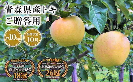 １０月発送 贈答用トキ10ｋｇ 【そと川りんご園・１０月・青森県産・平川市・りんご・トキ・10ｋｇ・贈答用】