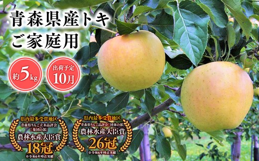 １０月発送 【訳あり】家庭用トキ5ｋｇ 【そと川りんご園・１０月・青森県産・平川市・りんご・トキ・5ｋｇ・訳あり・家庭用】