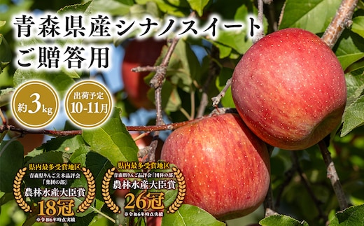 １０月・１１月発送 贈答用シナノスイート3ｋｇ 【そと川りんご園・１０月・１１月・青森県産・平川市・りんご・シナノスイート・3ｋｇ・贈答用】