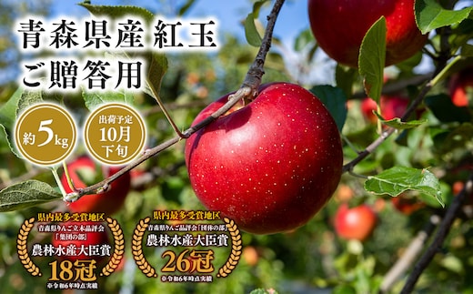 １０月発送 贈答用紅玉5ｋｇ 【そと川りんご園・１０月・青森県産・平川市・りんご・紅玉・5ｋｇ・贈答用】