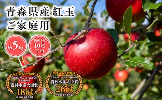 １０月発送 【訳あり】家庭用紅玉5ｋｇ 【そと川りんご園・１０月・青森県産・平川市・りんご・紅玉・5ｋｇ・訳あり・家庭用】