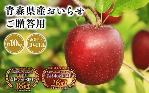 １０月・１１月発送 贈答用おいらせ10ｋｇ 【そと川りんご園・１０月・１１月・青森県産・平川市・りんご・おいらせ・10ｋｇ・贈答用】