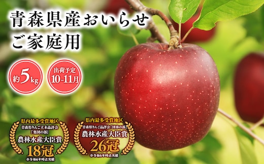 2026年産 １０月・１１月発送 【訳あり】家庭用おいらせ5ｋｇ 【そと川りんご園・１０月・１１月・青森県産・平川市・りんご・おいらせ・5ｋｇ・訳あり・家庭用】