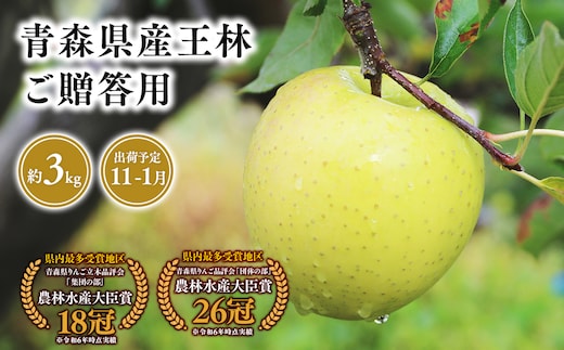2026年産 １１月～１月発送 贈答用王林3ｋｇ 【そと川りんご園・１１月・１２月・１月・青森県産・平川市・りんご・王林・3ｋｇ・贈答用】