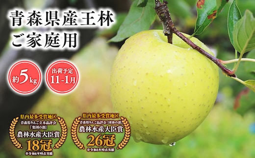 2025年産 １１月～１月発送 【訳あり】家庭用王林5ｋｇ 【そと川りんご園・１１月・１２月・１月・青森県産・平川市・りんご・王林・5ｋｇ・訳あり・家庭用】