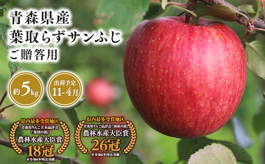 １１月～４月発送 贈答用葉とらずサンふじ5ｋｇ 【そと川りんご園・１１月・１２月・１月・２月・３月・４月・青森県産・平川市・りんご・葉とらずサンふじ・5ｋｇ・贈答用】