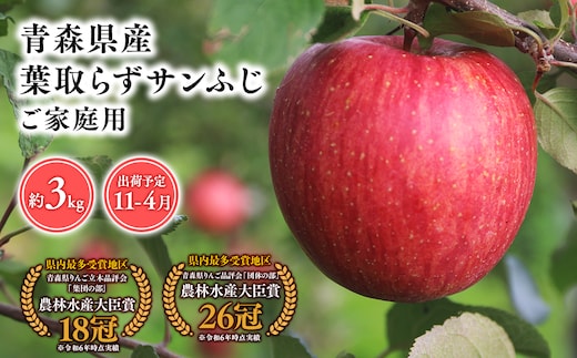 １１月～４月発送 【訳あり】家庭用葉とらずサンふじ3ｋｇ 【そと川りんご園・１１月・１２月・１月・２月・３月・４月・青森県産・平川市・りんご・葉とらずサンふじ・3ｋｇ・訳あり・家庭用】